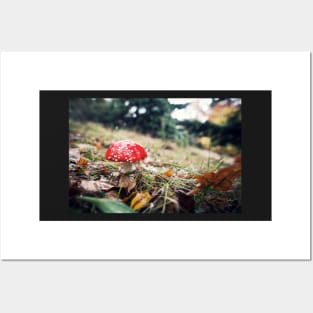 Red Mushroom with White Spots Posters and Art